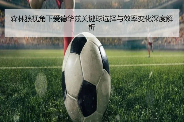 森林狼视角下爱德华兹关键球选择与效率变化深度解析